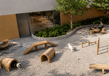 pet-care-render